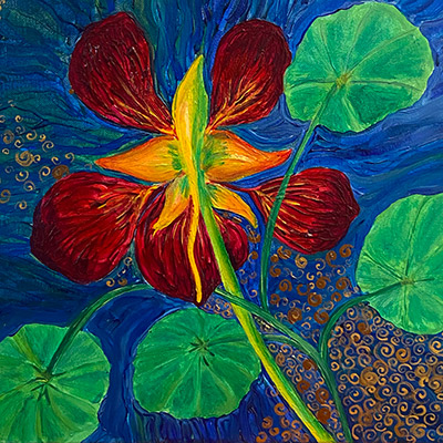 From a Nasturtium's Perspective